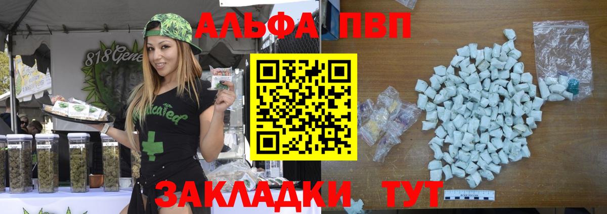 A PVP СК КРИС Надым