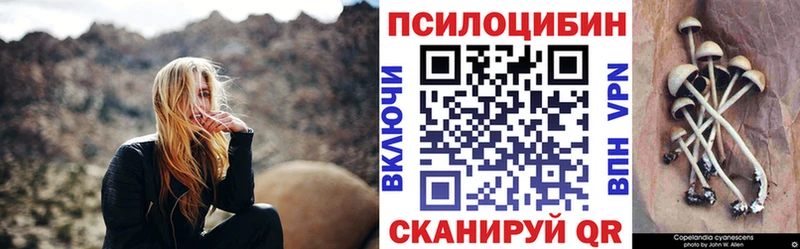 где продают mega ссылки Галлюциногенные грибы Psilocybe Надым