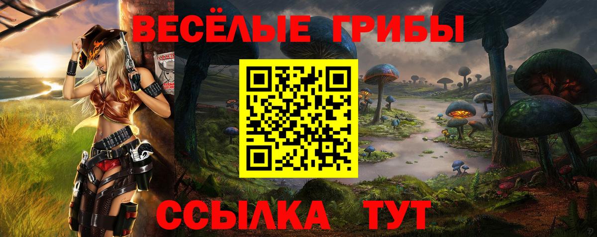 Галлюциногенные грибы GOLDEN TEACHER Надым