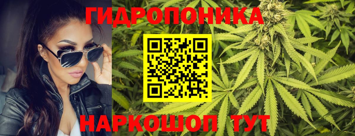 Бошки Шишки White Widow Надым